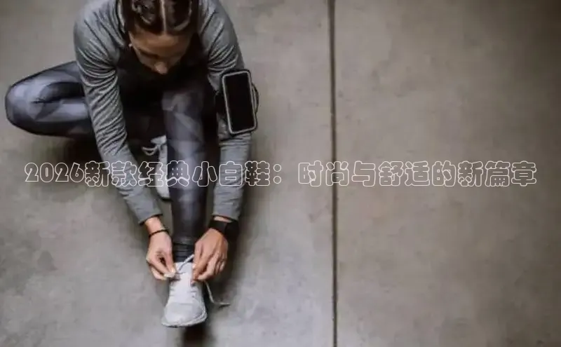 鲸鱼体育app下载安装最新版